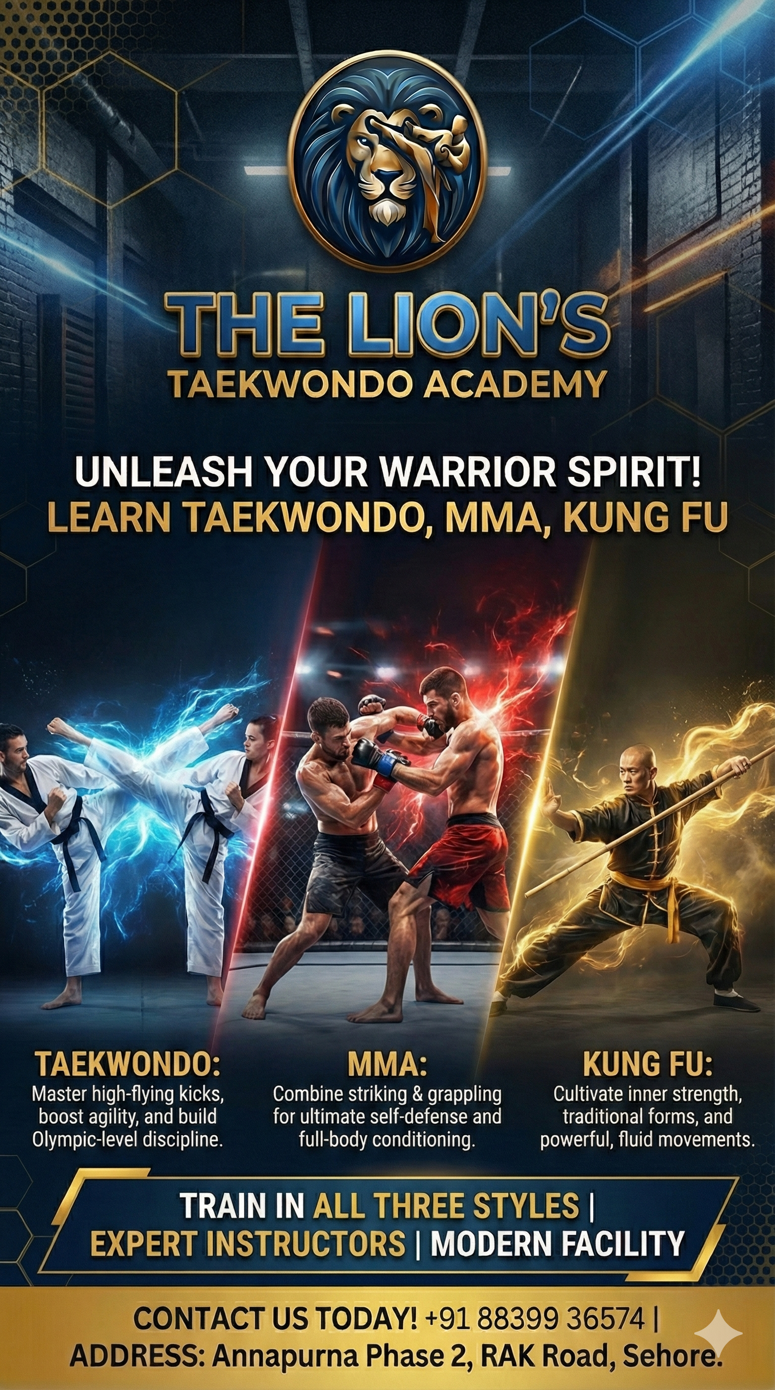 The Lion's Taekwondo Academy Offer